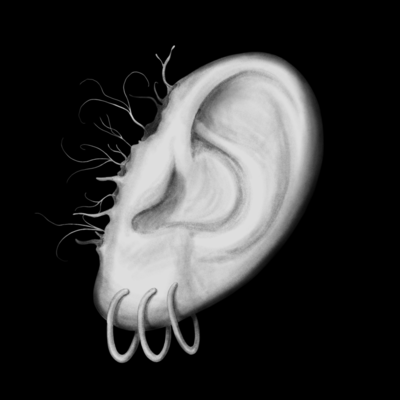 幻聴のジャケット写真