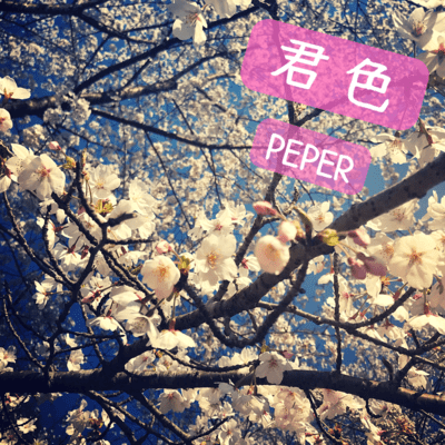 personal colors Front Cover