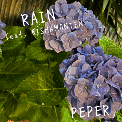 RAIN (feat. BISHAMONTEN) Front Cover