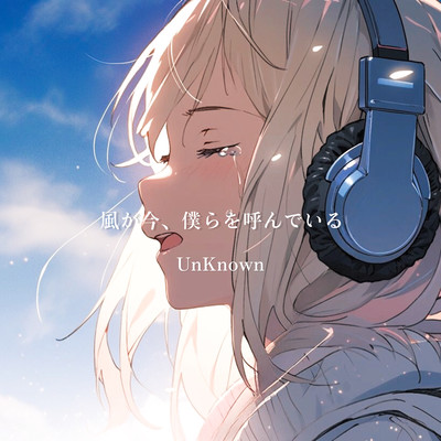 The wind is calling us now Front Cover