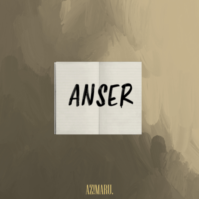 ANSER Front Cover