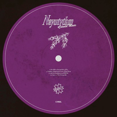 Nayutythm Front Cover