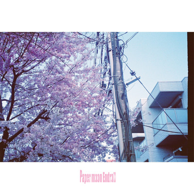 Sakura no uta Front Cover