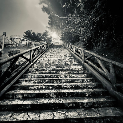 道のジャケット写真