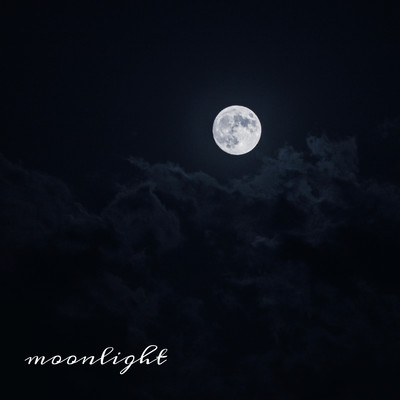 moonlight (feat. Geek Boy Roach) Front Cover