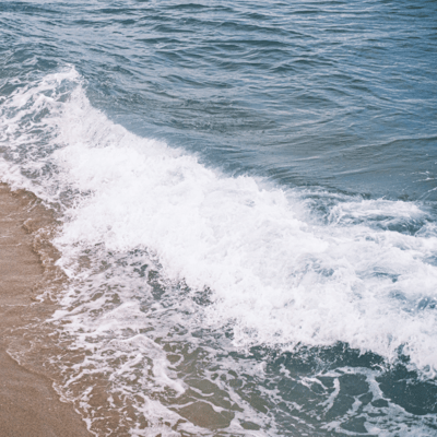 The Sea Front Cover
