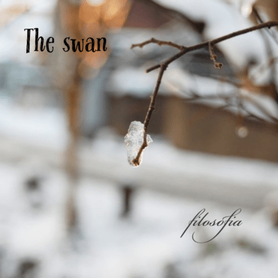 The swan Front Cover