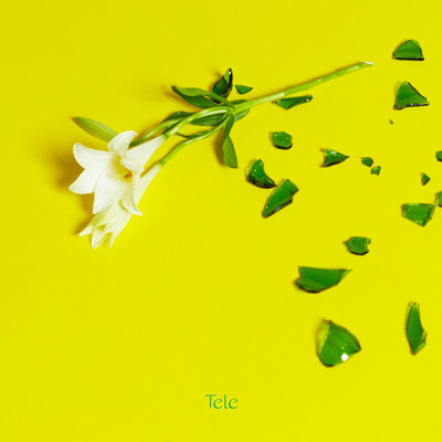 花瓶のジャケット写真