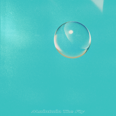 Maintain The Flyのジャケット写真