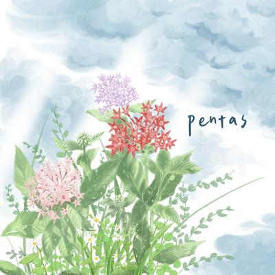 Pentasのジャケット写真