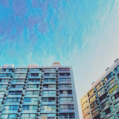 その融点のジャケット写真