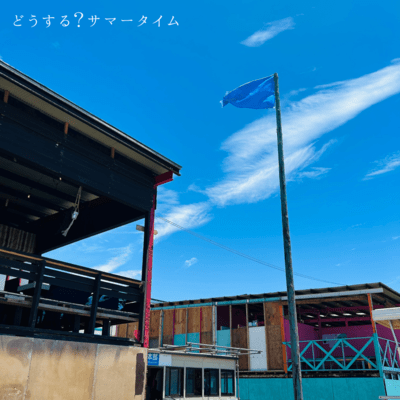 どうする?サマータイムのジャケット写真