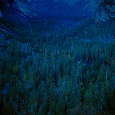 Dearのジャケット写真