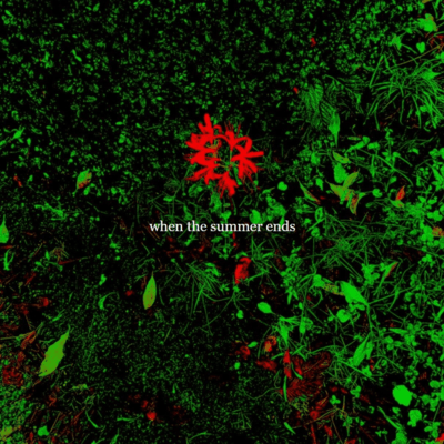 when the summer endsのジャケット写真