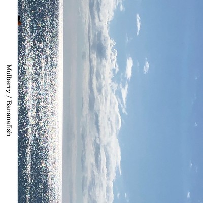 Mulberryのジャケット写真