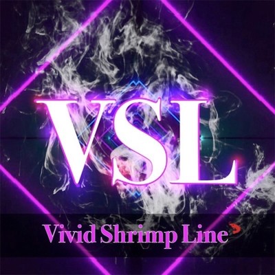 VSL Front Cover