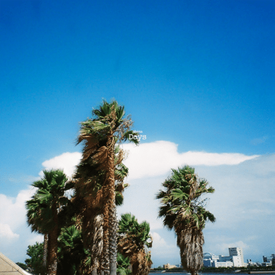 Days Front Cover