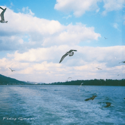 Fading Summerのジャケット写真