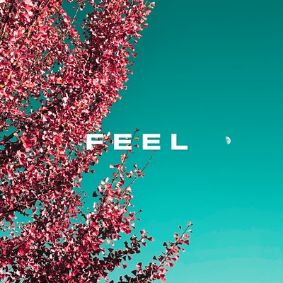 FEEL Front Cover
