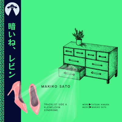 暗いね、レビンのジャケット写真