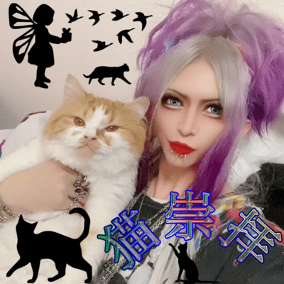 猫崇拝のジャケット写真