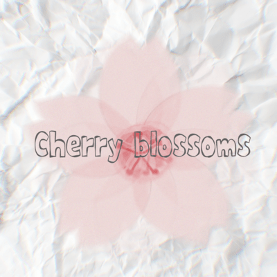Cherry blossoms (feat. KASANE TETO) Front Cover
