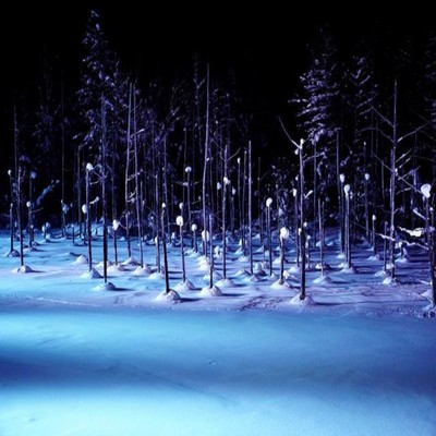 WhiteSign (feat. Nayu) Front Cover