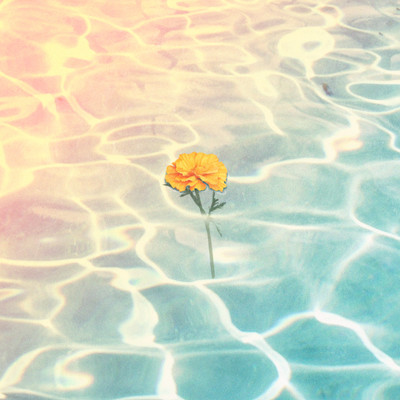 lonely Front Cover