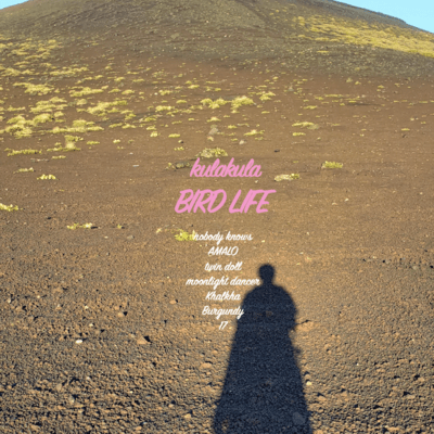 BIRD LIFE Front Cover