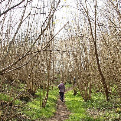 tabi no kiroku Front Cover