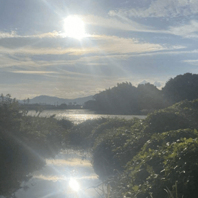 Rebirth of All-over-the-world Front Cover