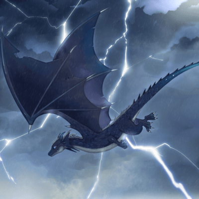 Flying the dragon (feat. Tsubasa Kumazawa) Front Cover
