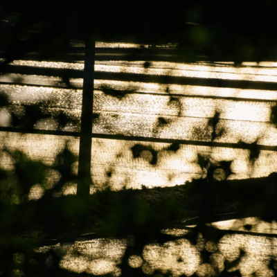 MITARASHI Front Cover