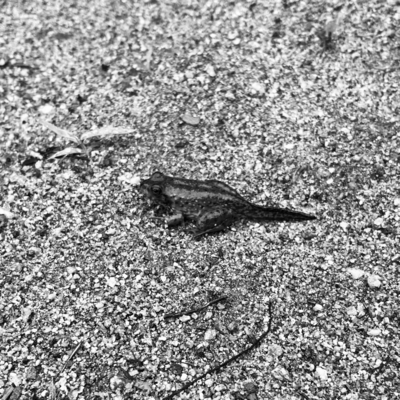 Koremade To Korekara Front Cover