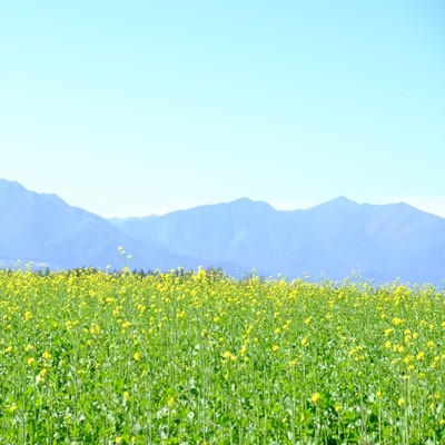 Song of the Heart Sing (Remix2025) Front Cover