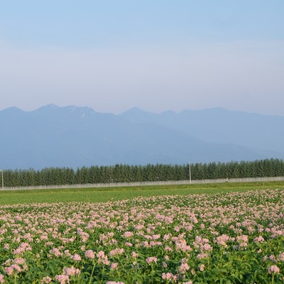 Field Front Cover