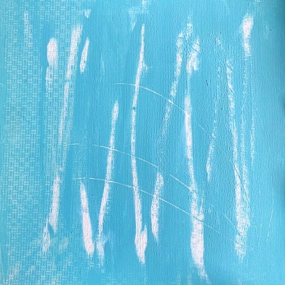 snow aphid Front Cover