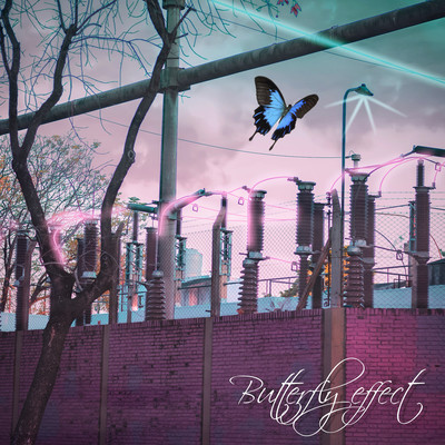Butterfly effect Front Cover