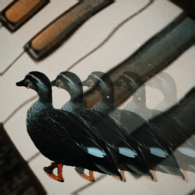 Follow me (Live at Mahirunotsuki-Yorunotaiyo) Front Cover