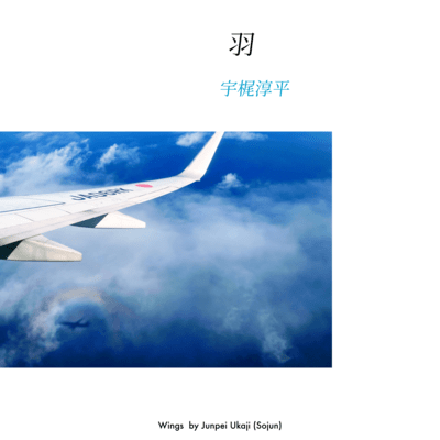Wings Front Cover