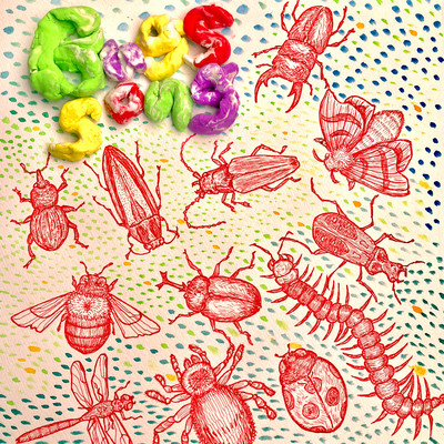 bugs song Front Cover