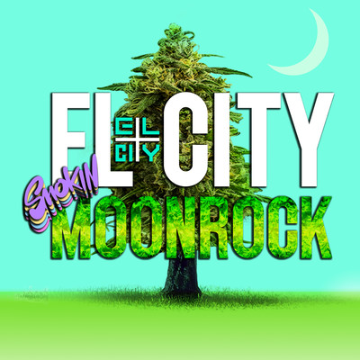 MOON ROCK Front Cover