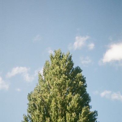 グッドデイのジャケット写真