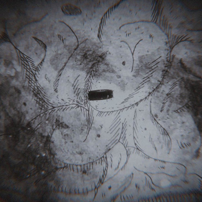 Strangers in the NIGHT Front Cover