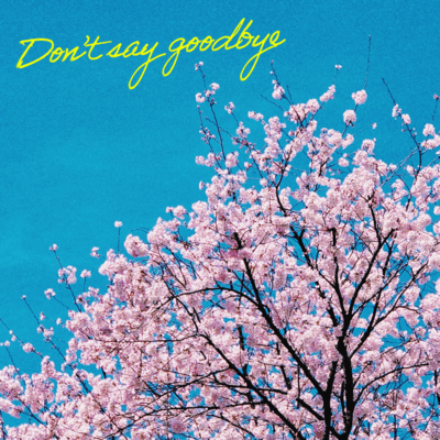 Don't say goodbye Front Cover