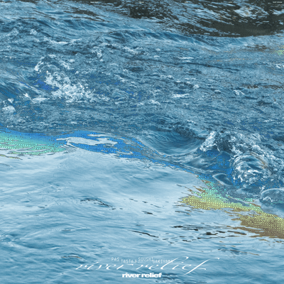 river relief Front Cover