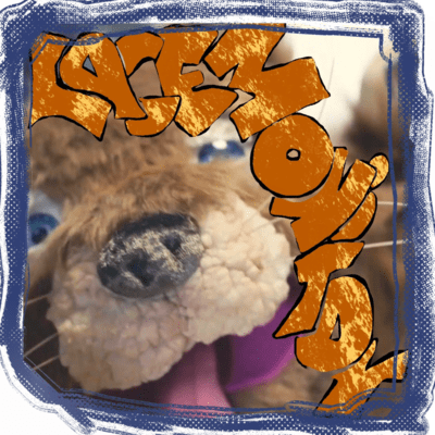 レースモニターのジャケット写真