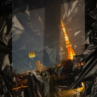 Bird Cage Front Cover