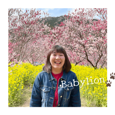 Babylion Front Cover
