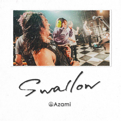Swallow Front Cover